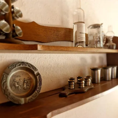 公寓 Ferienbutzen Harz In Sieber