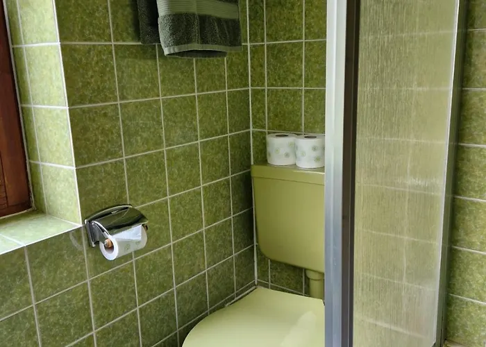 Apartament Ferienbutzen Harz In Sieber